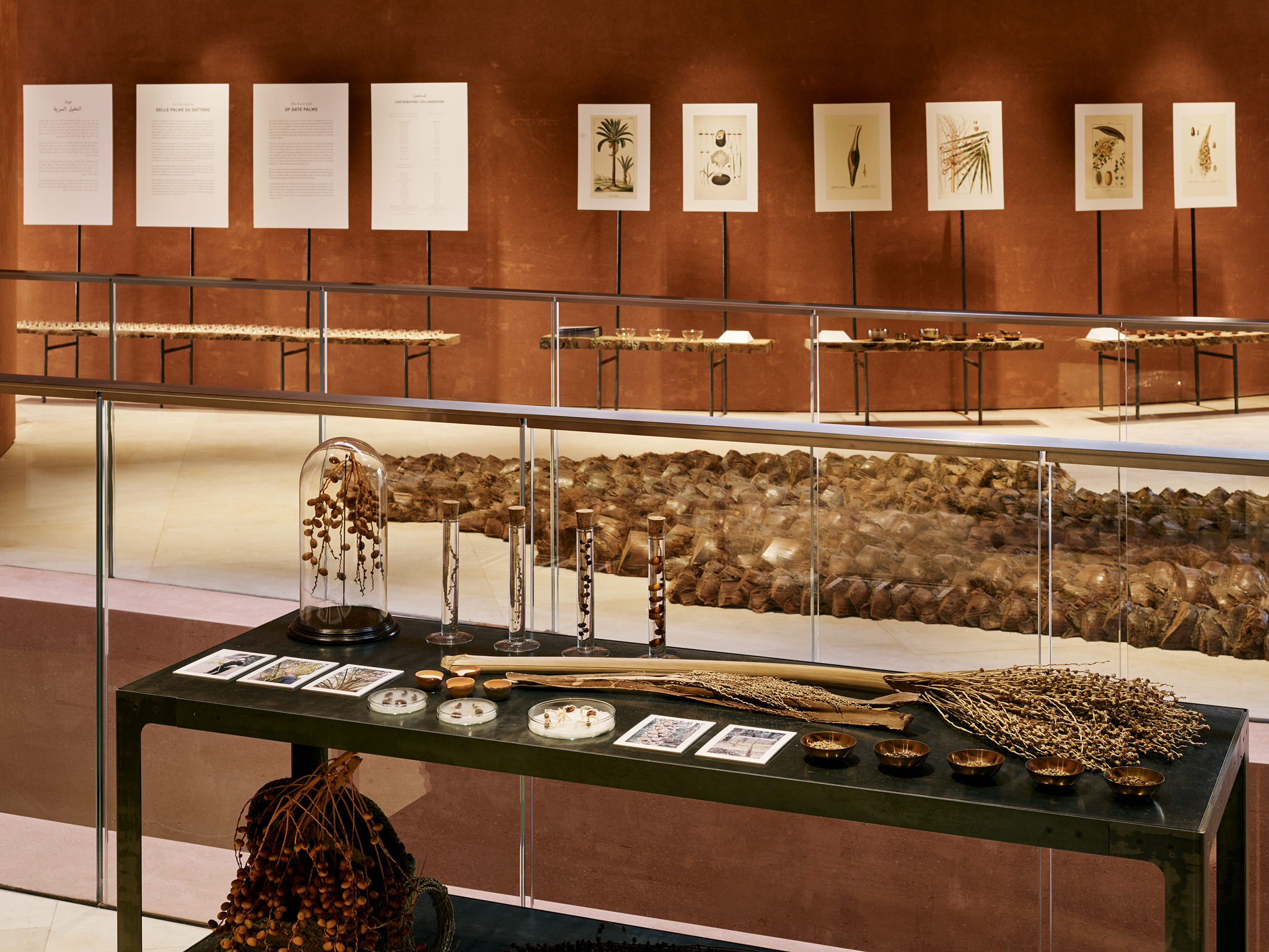 E15547 Alpa 050322 SCREEN